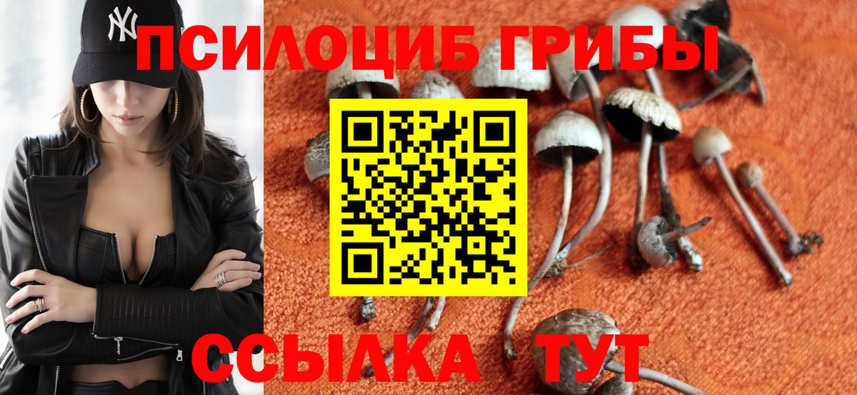 Псилоцибиновые грибы мицелий  Белореченск 