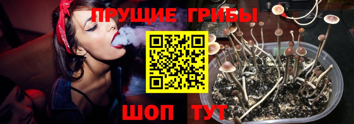 Псилоцибиновые грибы MAGIC MUSHROOMS Белореченск